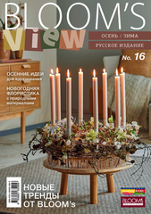 BLOOM'S VIEW # 16. Осень/зима 2022. Русское издание