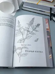 Первоклассный адвокат. Том 2