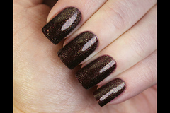 El Corazon 423/ 953 active Bio-gel  Eastern Organza