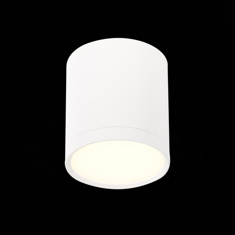 Светильник потолочный ST Luce ST113.532.05