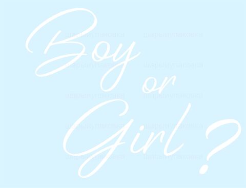 Наклейка, Boy or Girl, на шар 12