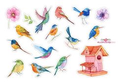 Печать на сахарной бумаге, Набор птицы 7