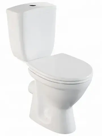 Vitra 9839B099-7202 Унитаз Norm Blum Duroplast, крышка дюропласт с микролифтом