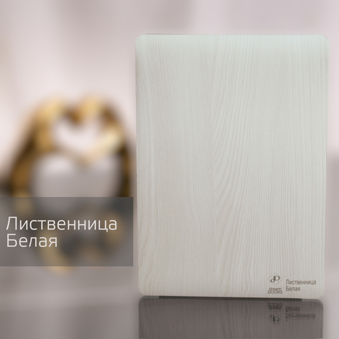 Лиственница Белая