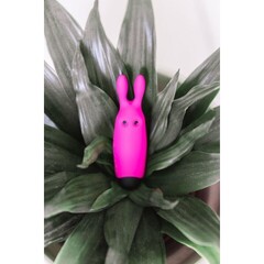 Карманный вибратор-кролик Lastic pocket vibe Rabbit Adrien Lastic