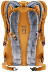 Рюкзак Deuter Stepout 22 Amber-Maple - 2