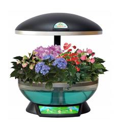 Выращиватель Домашний сад черный (гидропонная установка с прозрачным бассейном)