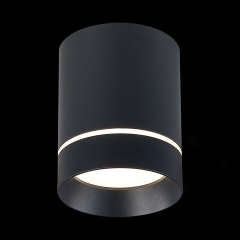 Светильник потолочный ST Luce ST115.442.12