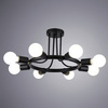 Люстра Arte Lamp Highgarden A6063PL-8BK