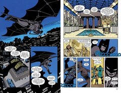 Бэтмен: Год первый. Коллекционное издание