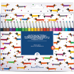 Фломастеры 24 цвета 