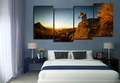 Модульная картина "Горный байк"