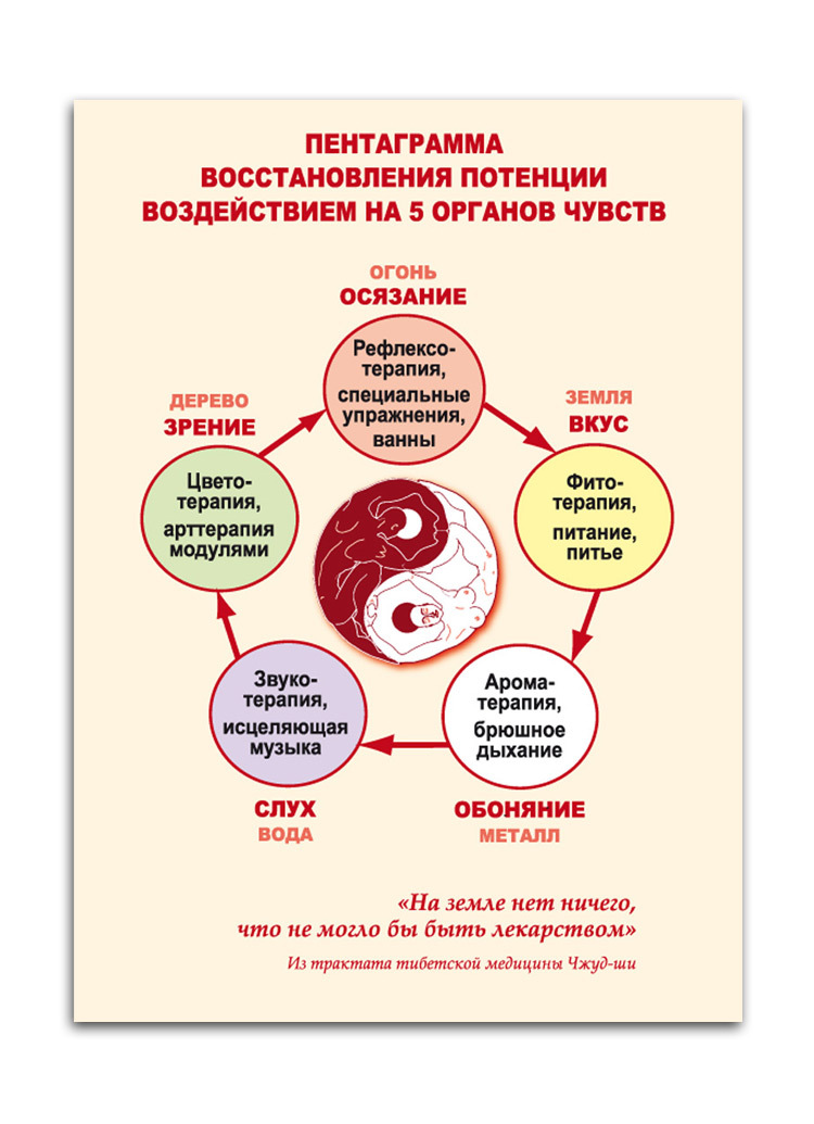 Потенция - как поднять в домашних условиях быстрыми и доступными методами