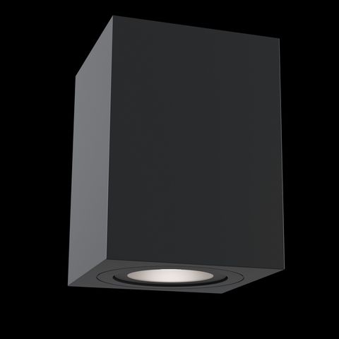 Потолочный светильник Technical Alfa C017CL-01B