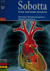 Sobotta. Атлас анатомии человека в 2-х томах. Том 2. Туловище. Внутренние органы. Нижняя конечность