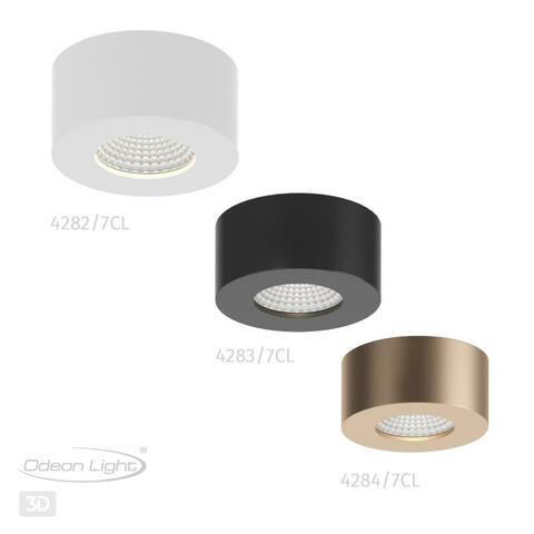 Накладной светодиодный светильник Odeon Light BENE 4284/7CL