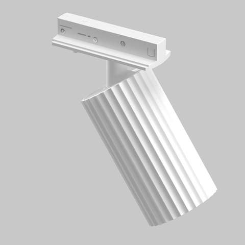 Однофазный трековый светильник Maytoni Calipso TR218-1-GU10-W