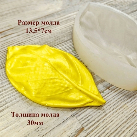 Молд пластиковый+Вайнер силиконовый 