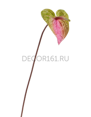 Цветы Treez Collection