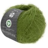 Пряжа Lana Grossa Per Fortuna 058