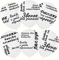 МЛ 12''/30 см, Школьные цитаты, Белый, пастель, 5 ст, 25 шт.