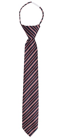 Галстук TSAREVICH 6-12 лет