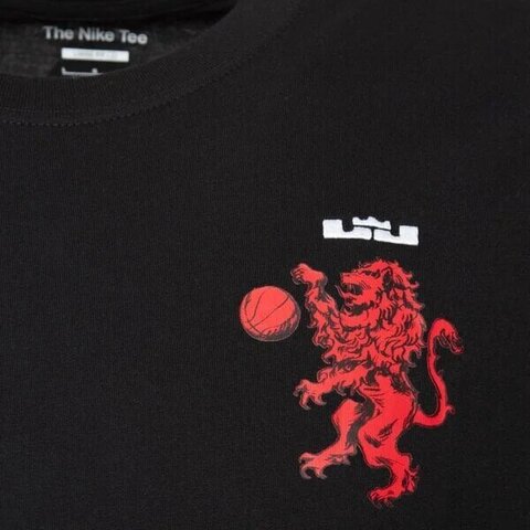 Футболка LeBron Men's Max90 T-Shirt