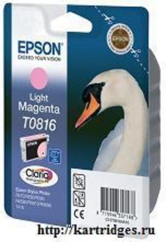 Картридж Epson T08164A / T11164A10