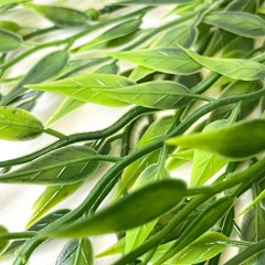 Ампельное растение, зелень бамбука искусственная свисающая, зеленая, 73 см, набор 2 букета