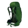 Картинка рюкзак туристический Osprey Kestrel 48 Jungle Green - 11