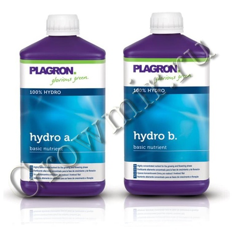 Plagron Hydro A+B 1 L