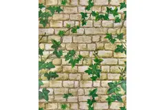 Пленка самоклеящаяся Плющ зеленый M202 450x7000 мм