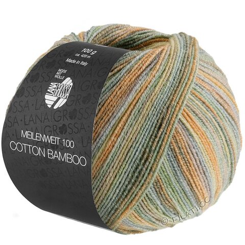 Lana Grossa Meilenweit Cotton Bamboo Sole Mix 6417