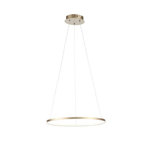 Светильник подвесной ST Luce Erto SL904.203.01