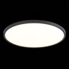 Светильник настенно-потолочный ST Luce ST601.442.48