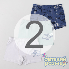2 (3-4 года)