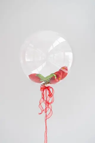 Шар гелиевый баблс с розами внутри