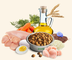 Statera сухой корм для взрослых собак всех пород (курица) 18 кг