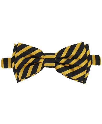 Бабочка в полоску TSAREVICH