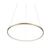 Светильник подвесной ST Luce Erto SL904.203.01
