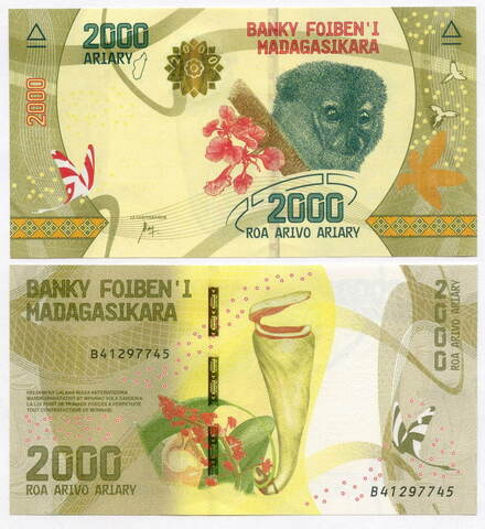 Банкнота Мадагаскар 2000 ариари 2017 год B41297745. UNC