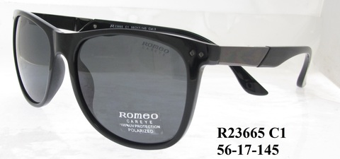 R23665
