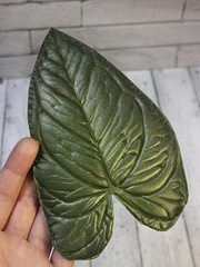Молд пластиковый Б-7 лист антуриума 22х12,5см