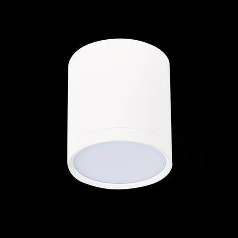 Светильник потолочный ST Luce ST113.532.05