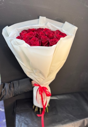 Роза бордовая Эксплорер 70-90 см