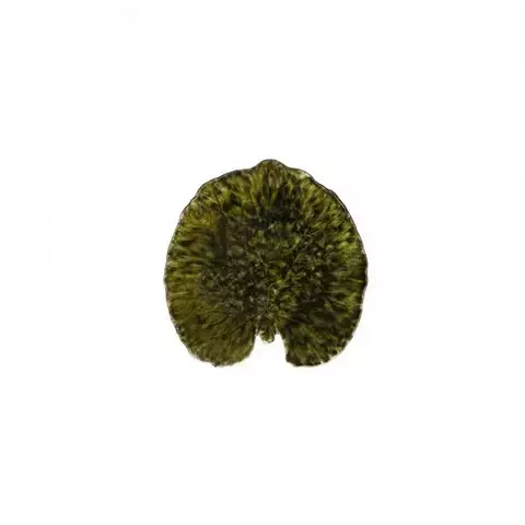 Блюдо 17х18см Costa Nova Riviera