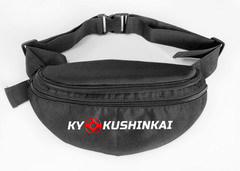 Поясная сумка BFS