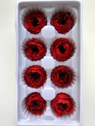 Роза пионовидная 4-5см Темно-красный (цена за 4шт)
