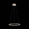 Светильник подвесной ST Luce Erto SL904.203.01