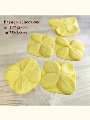Молд лепестки 